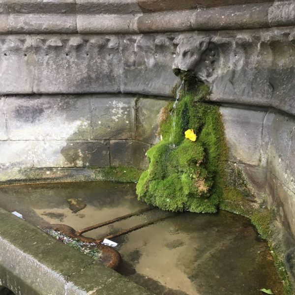 Holy Well Frome